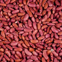 kidney beans