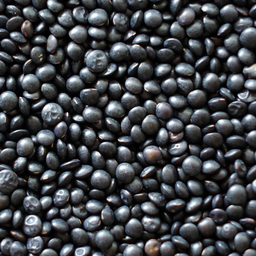 beluga lentils